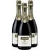 3x Vorteils-Weinpaket Bio Prosecco DOC - Valdo 