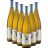 6x Vorteils-Weinpaket Steinbock Grauburgunder - Weingut Hörner