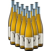 12x Vorteils-Weinpaket Steinbock Grauburgunder - Weingut Hörner