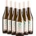 6x Vorteils-Weinpaket Sauvignon Blanc - Moroki Wine 