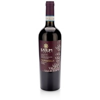 ILatium Morini Valpolicella