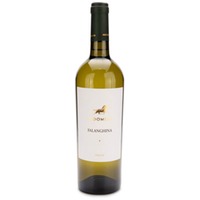 Indomito Falanghina del Beneventano 'Indomito' IGT