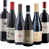 Mit Barbera durch den Piemont - 6x Probierpaket