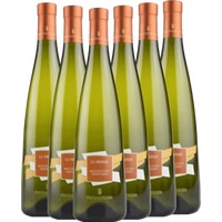 6x Vorteils-Weinpaket Le Fronde Moscato d'Asti DOCG - Fontanafredda