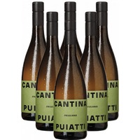 Puiatti Weißwein Friulano Bianco 6er Weinpaket DOP