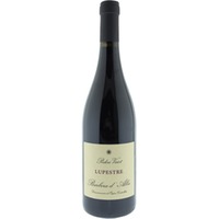 Lupestre Barbera d'Alba DOC trocken - Poderi Vaiot