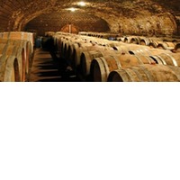 Alte Quitte Likör, 40% vol. 200 ml