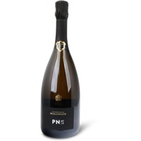 Champagne Bollinger PN AY 18 Brut