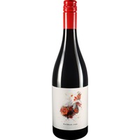 Roter Tribus - Weingut Baier