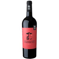 Montepulciano d Abruzzo TEATRO LATINO