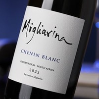 Chenin Blanc Stellenbosch