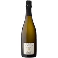 Geoffroy : Les Houtrants Complantés Premier Cru Brut Nature