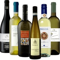 Weißwein Bestseller aus Italien - 6x Probierpaket