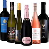 Die Lieblingsweine der VINELLOs - 6x Probierpaket