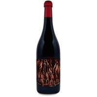 Panevino Storm Venti Venti