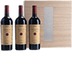 Masseto : Caveau Collection Case 2010, 2011 