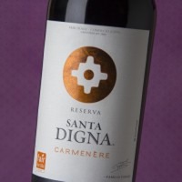 Santa Digna Carmenère