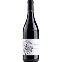 Barbera d'Alba Le Masche Barrique Superiore DOC - Bel Colle