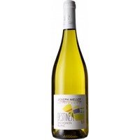 Sauvignon Blanc - Destinea - Joseph Mellot
