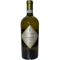 Citari Lugana Sorgente DOC Lombardei