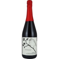Rotkehlchen trocken Bio - Weingut Fleischhacker