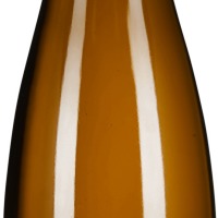 Pinot Gris Sensation