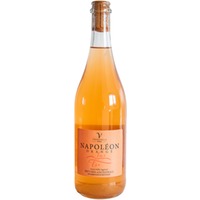 Napoléon sur lie Orange trocken - Vignudelli Wines