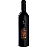 Xavier Vignon : Arcane Le Fou