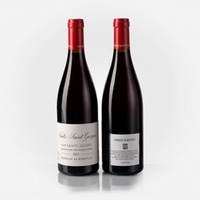 Nuits-Saint-Georges Aux Saints-Juliens