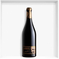 Amarone Classico Nino Zeni