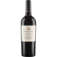 Montepulciano d`Abruzzo DOC Terra d`Aligi