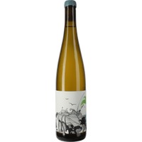 Vogel und Meer trocken