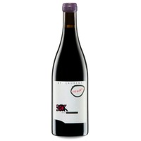 Judith Beck Bambule! St. Laurent