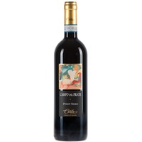 Campo del Frate Langhe DOC Pinot Nero 0,75l 14% - Ceste