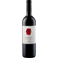 Enate Merlot Merlot DO – samtig & komplex