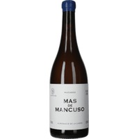 Mas de Mancuso Macabeo