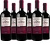 Appassimento Negroamaro Passito Salento IGT 