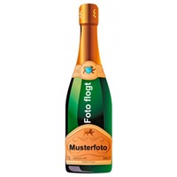 "Raymond Morin - Cremant de Loire, Rosé Brut"
