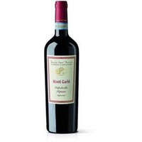 Tenuta Sant'Antonio "Monti Garbi" Valpolicella Ripasso Superiore