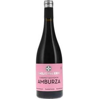 Laderas de Montejurra Amburza Tinto Navarra BIO