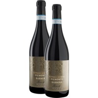 San Silvestro Appassimento Passito Piemonte Barbera DOC - Sartirano 2er Vorte