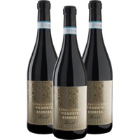 San Silvestro Appassimento Passito Piemonte Barbera DOC - Sartirano 3er Vorte