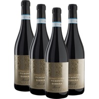 San Silvestro Appassimento Passito Piemonte Barbera DOC - Sartirano 4er Vorte