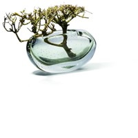 Philippi Amara Vase Quer (107015)