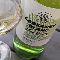 Zukunftswein Cabernet Blanc trocken