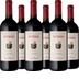 Nipozzano Montesodi Chianti Rufina Ris. DOCG 