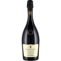 Lambrusco Reggiano DOC Concerto