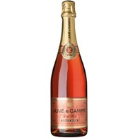 Juve y Camps Brut Rose Pinot Noir
