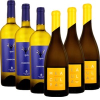 VINELLO.klassiker im weißen Gewand - 6x Probierpaket