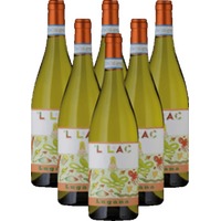 Cavalchina Lugana L 'Lac Weißwein DOC 6er Weinpaket
